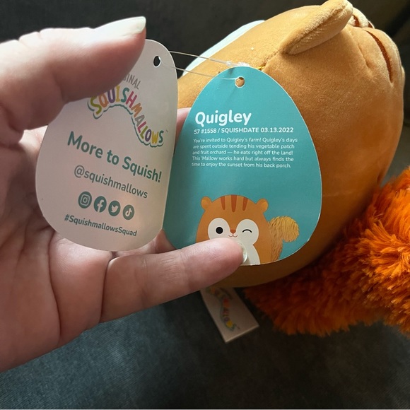 Quigley the squirrel squishmallow - Picture 5 of 7